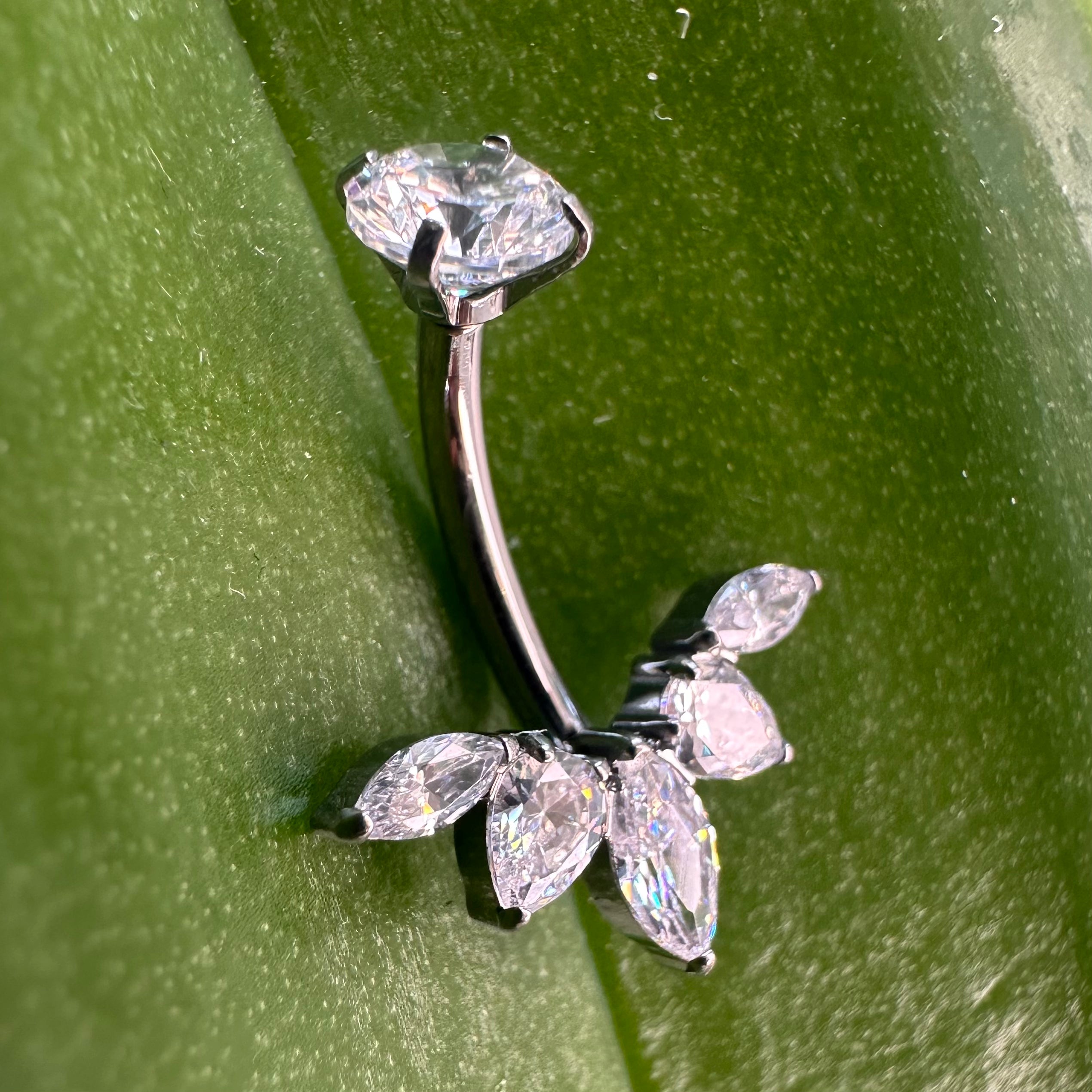T126-NAVEL LUXURY