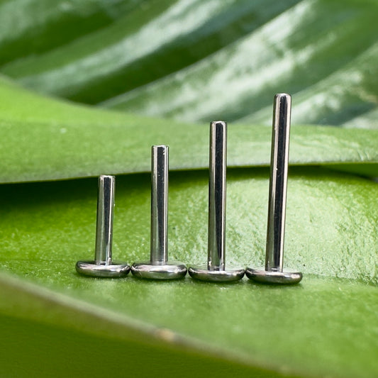 BASE LABRET-T001