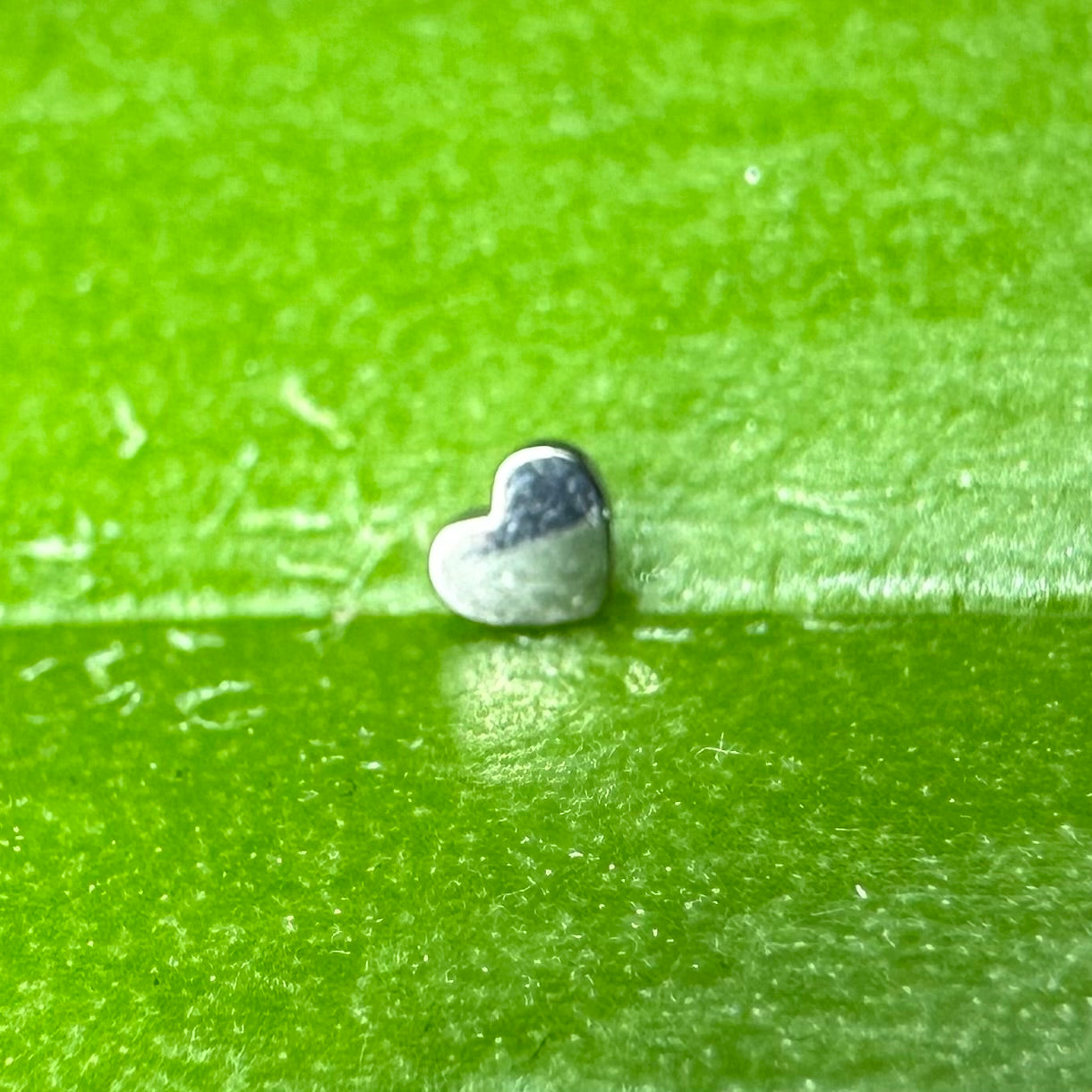 T026 LITTLE HEART