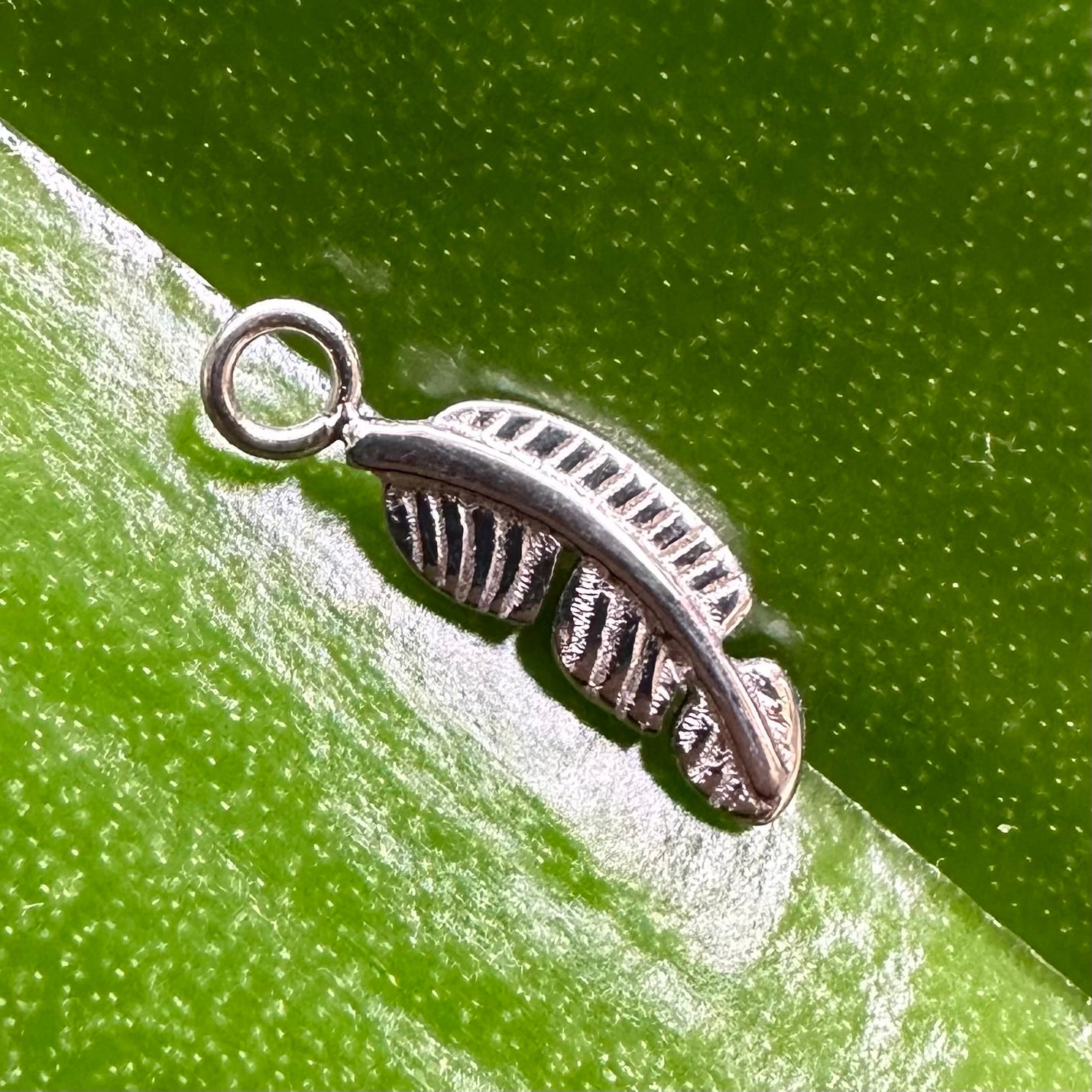 T115-CHARM FEATHER