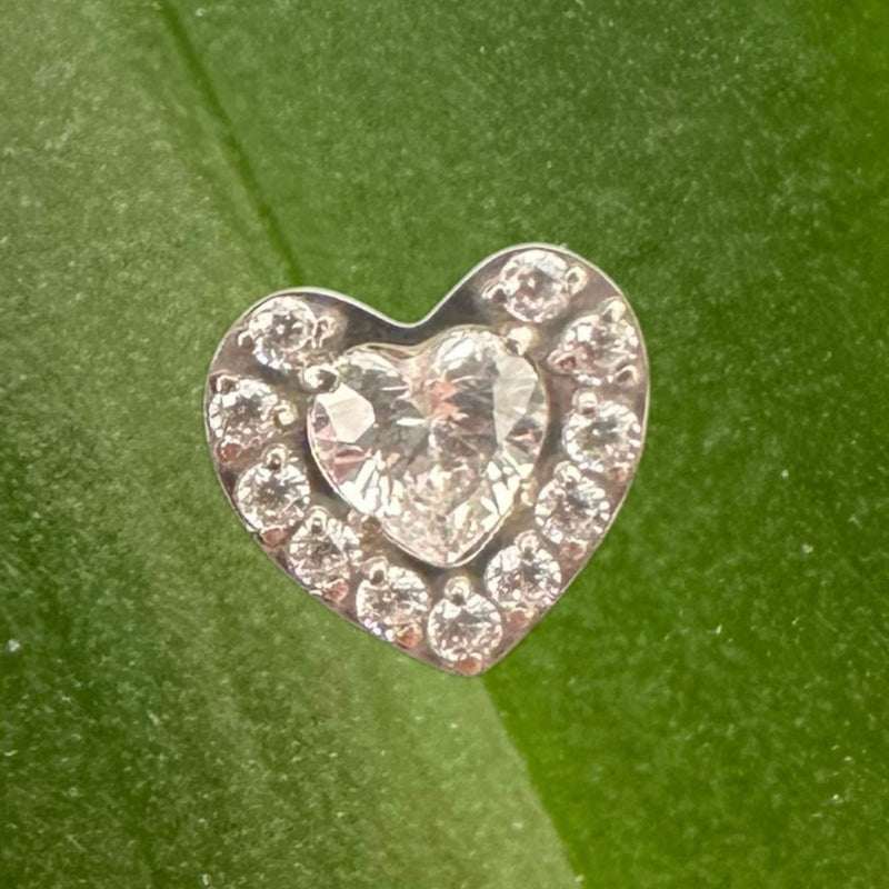 T095-TOP-BIG LOVE