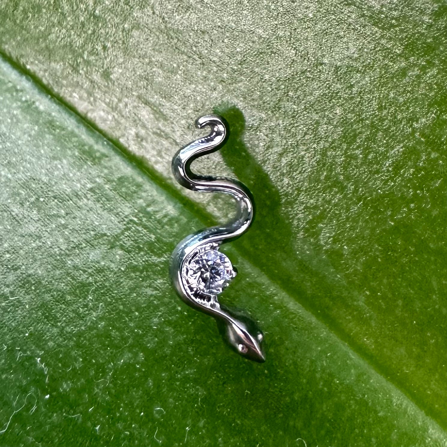 TOP SNAKE-T129